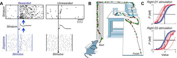 FIGURE 46.