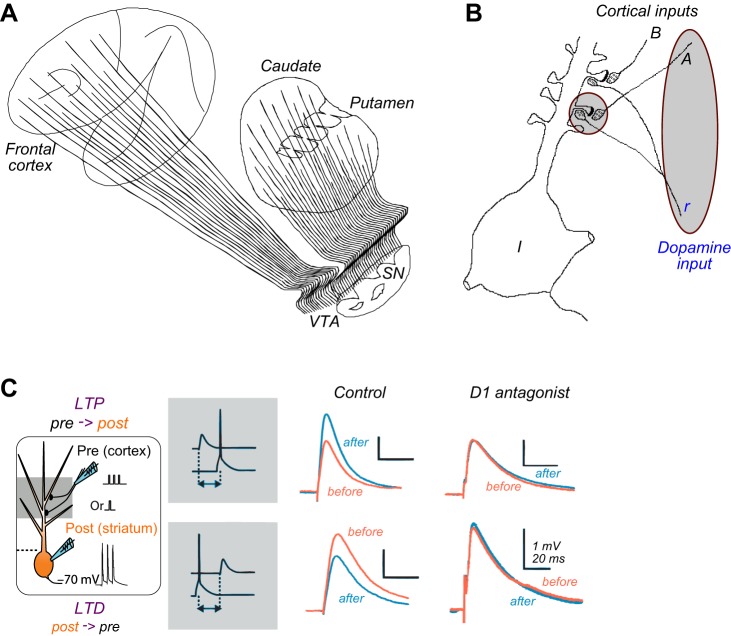 FIGURE 17.