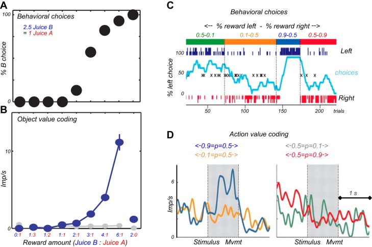 FIGURE 41.