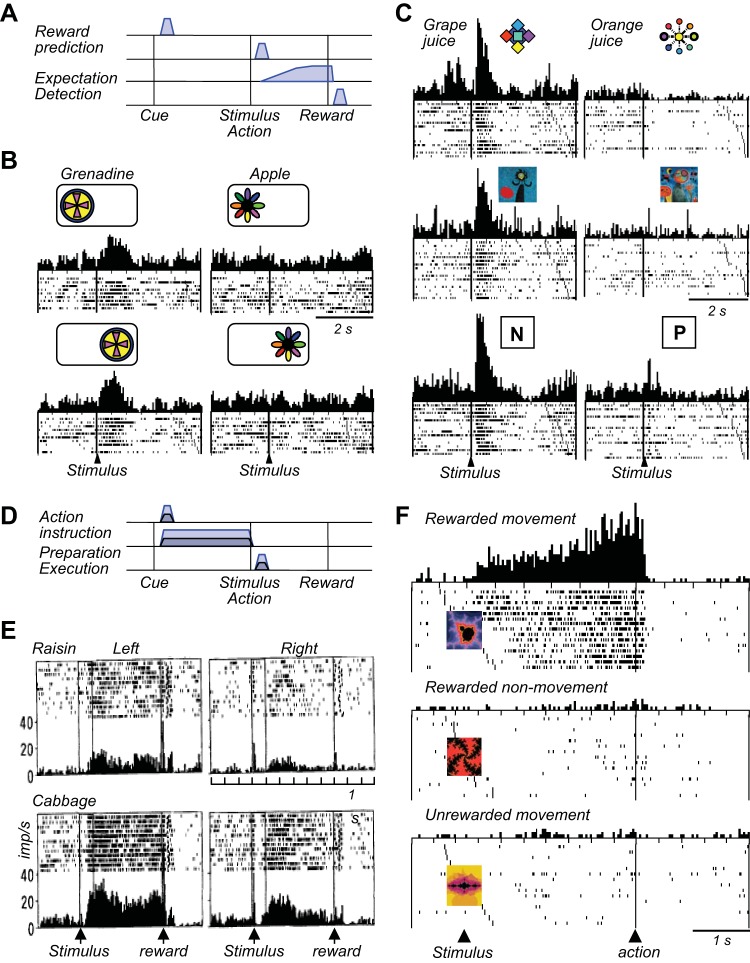 FIGURE 20.