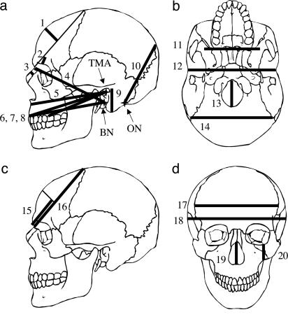 Fig. 2.