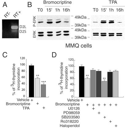 Fig 4.