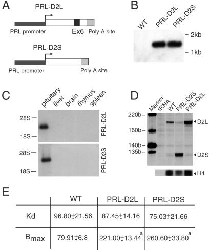 Fig 1.