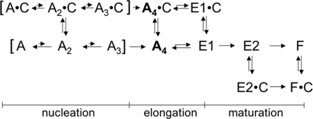 SCHEME 1.