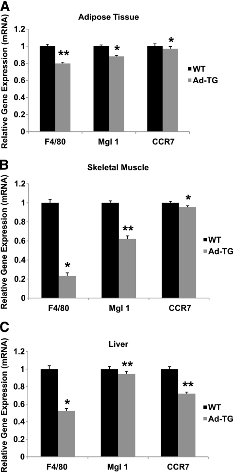 FIG. 5.