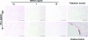FIG. 12.