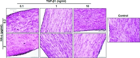 FIG. 9.