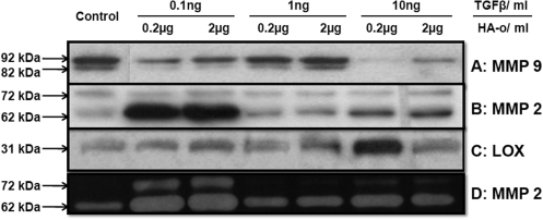 FIG. 5.