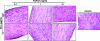 FIG. 9.