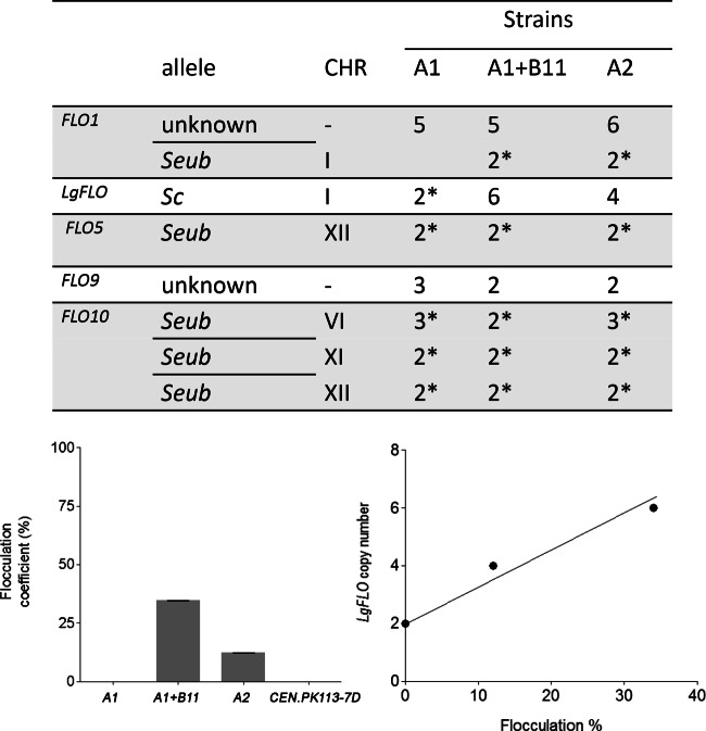 FIG 6