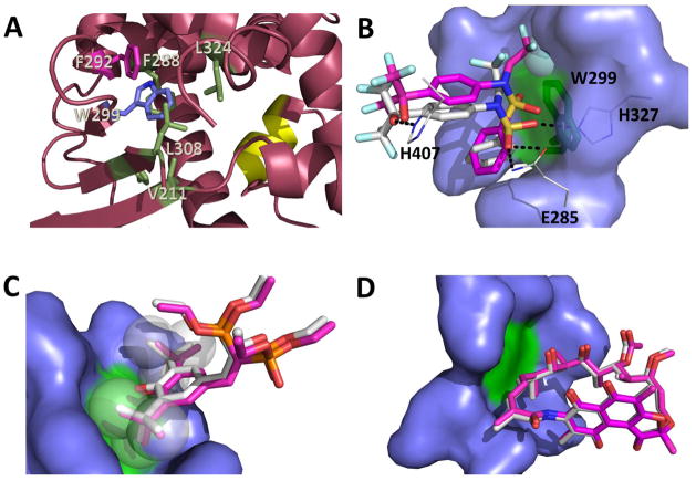 Figure 7