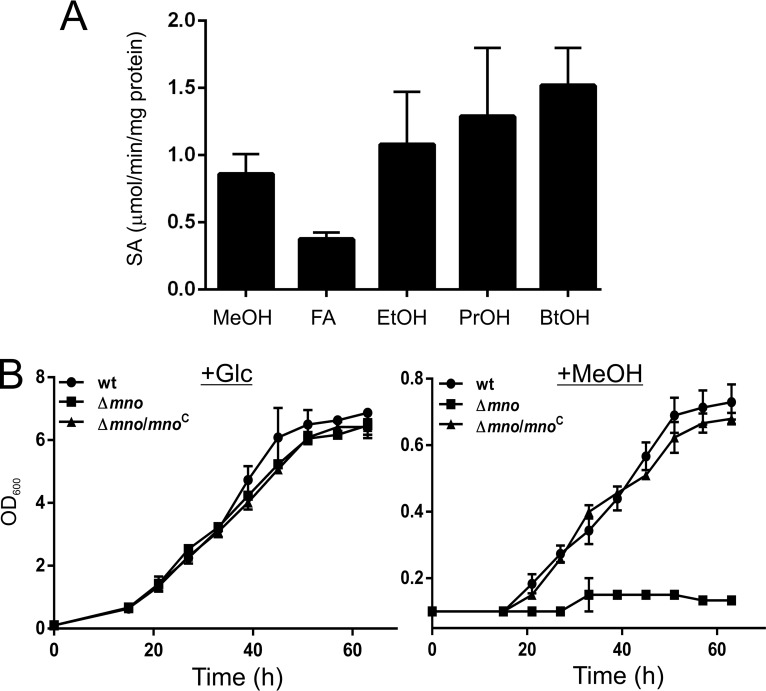 FIG 1