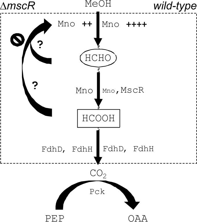 FIG 5