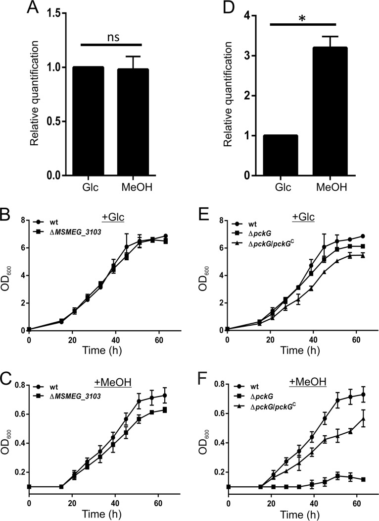 FIG 4