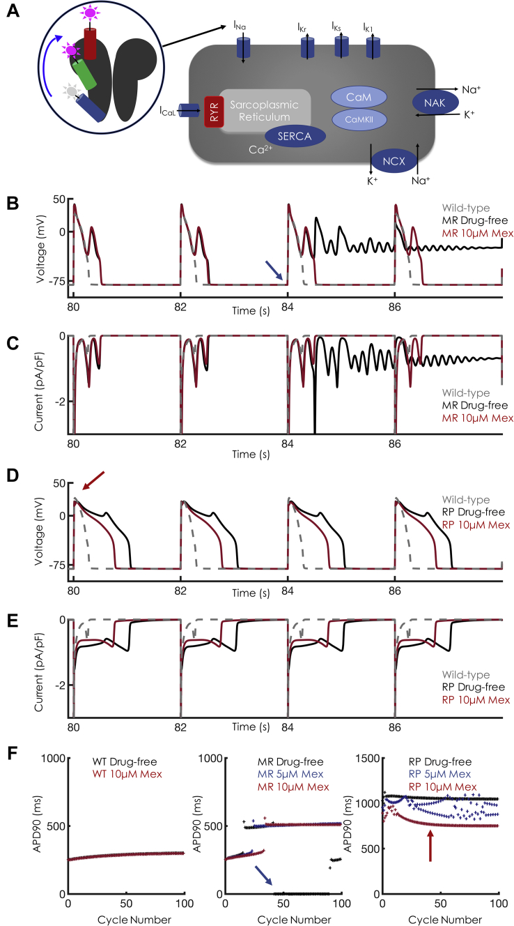 Figure 3