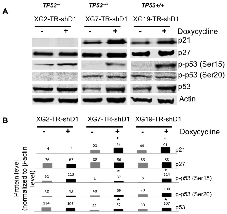 Figure 6