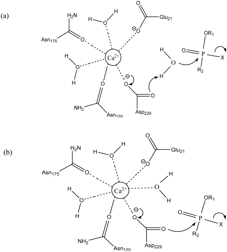 Figure 10.