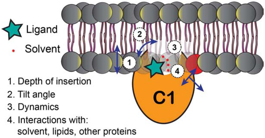 Figure 11.