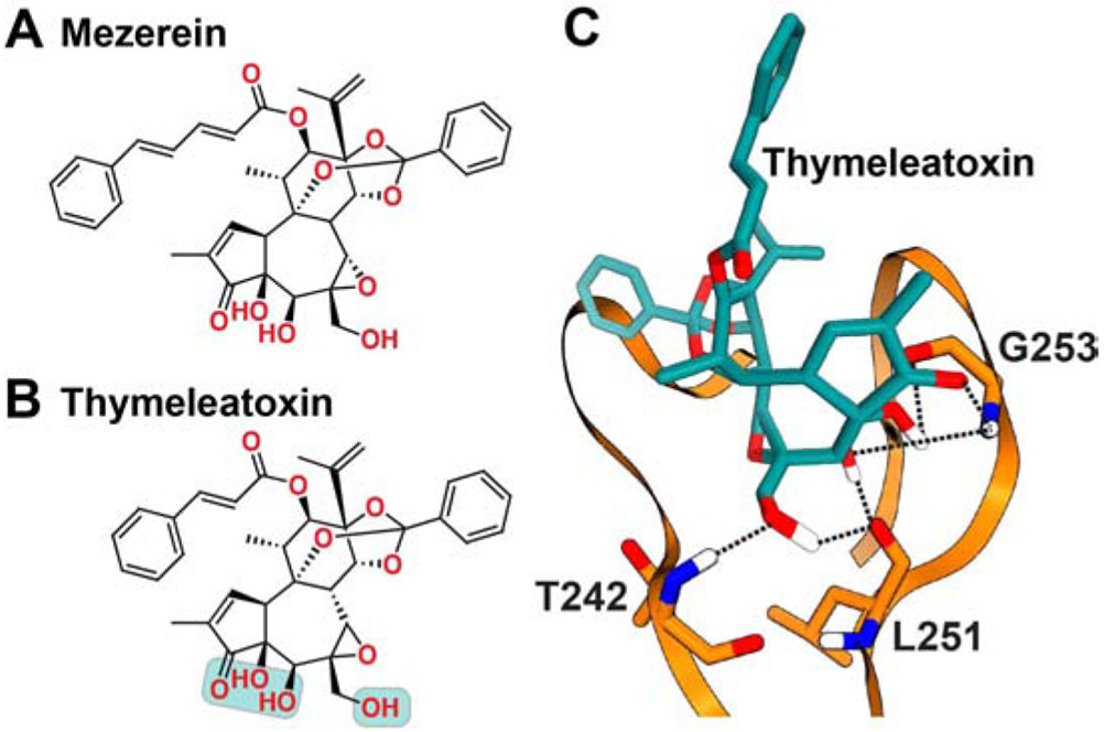 Figure 7.