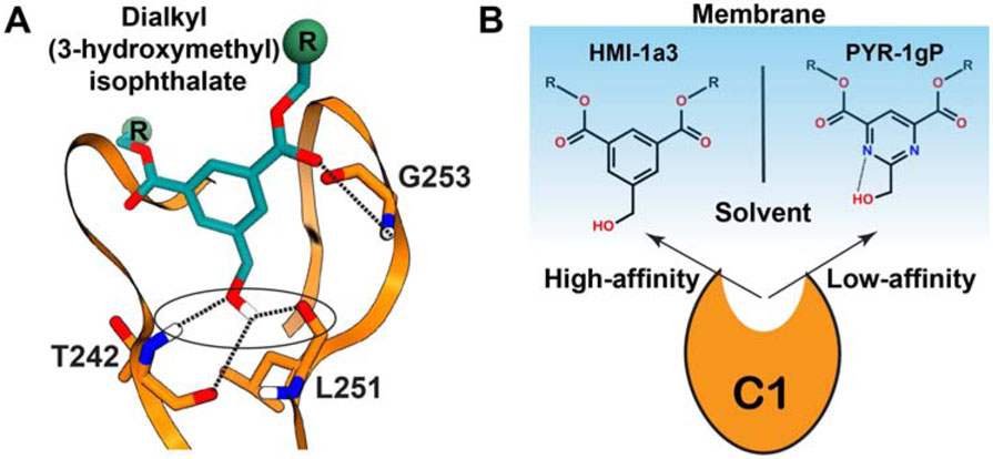 Figure 9.