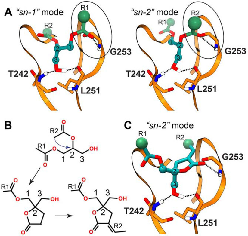 Figure 4.