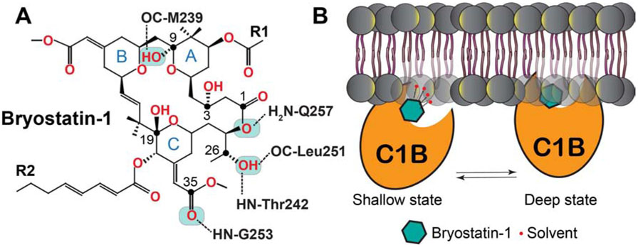 Figure 10.