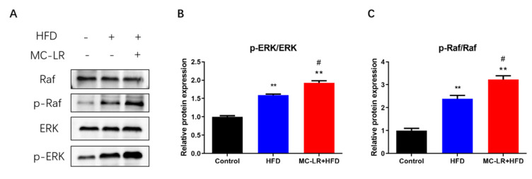 Subchronic Microcystin-LR Aggravates Colorectal Inflammatory Response ...