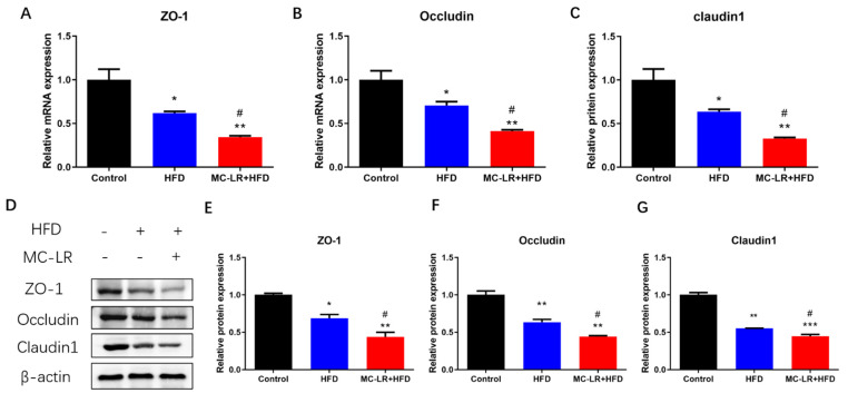 Subchronic Microcystin-LR Aggravates Colorectal Inflammatory Response ...