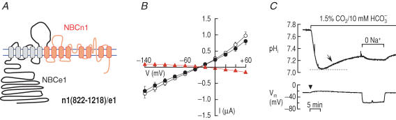 Figure 8