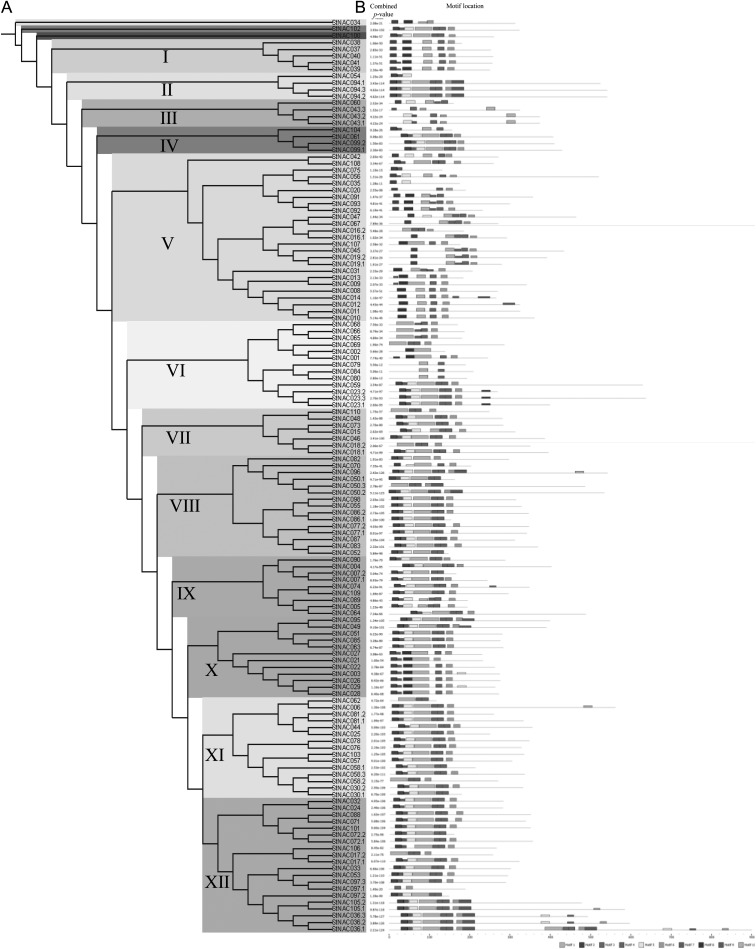 Figure 3.