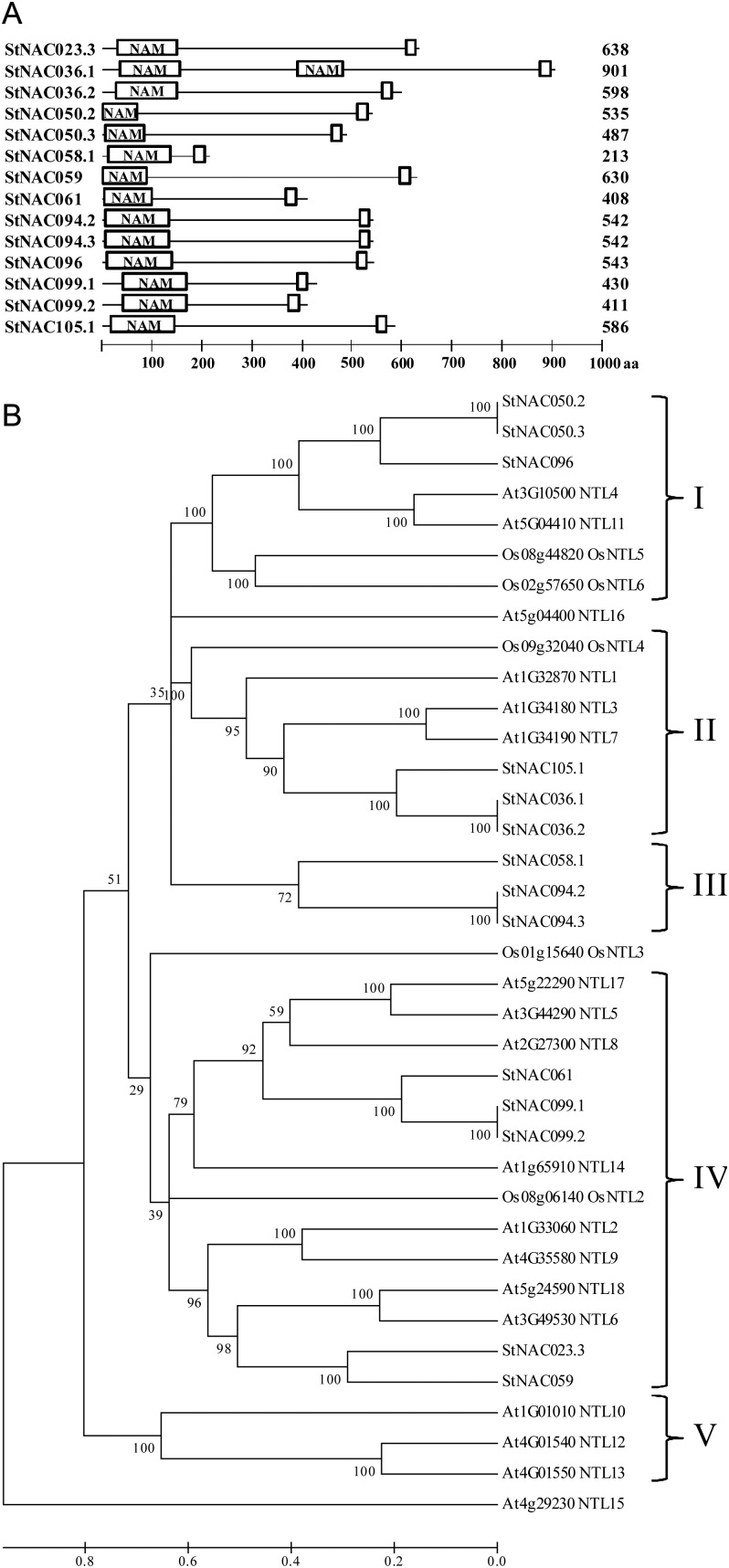 Figure 5.