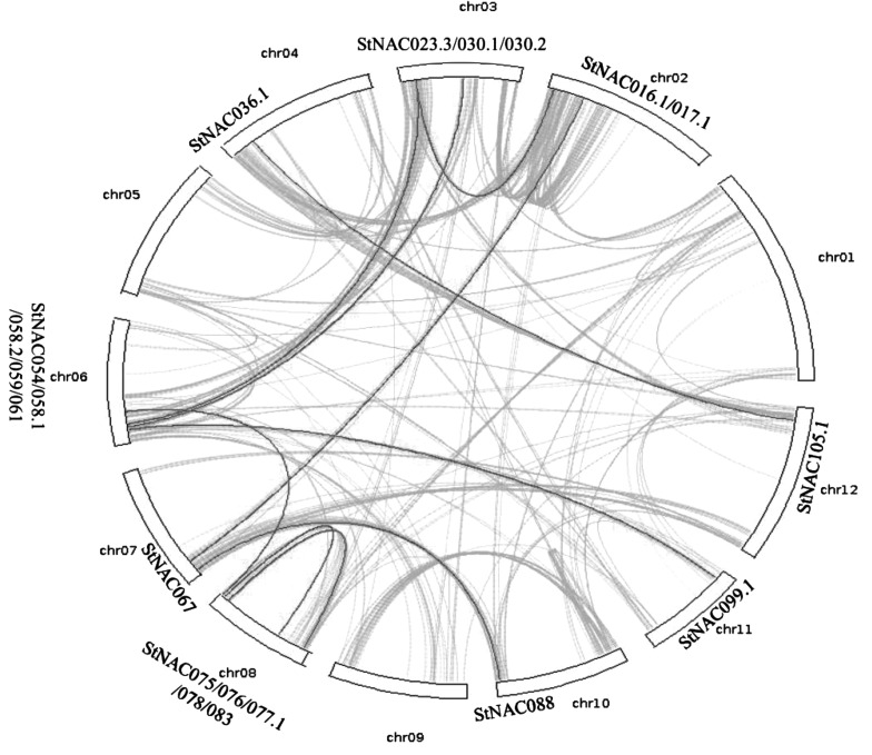 Figure 2.