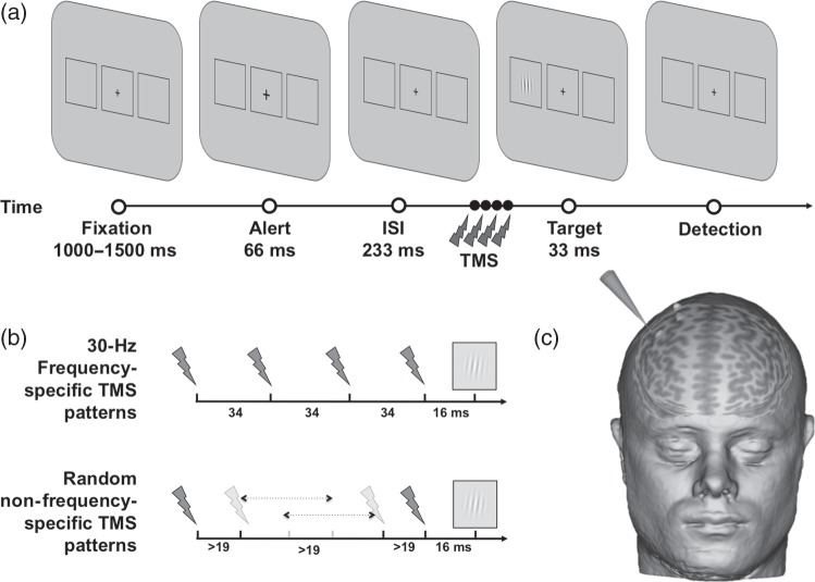 Figure 1.