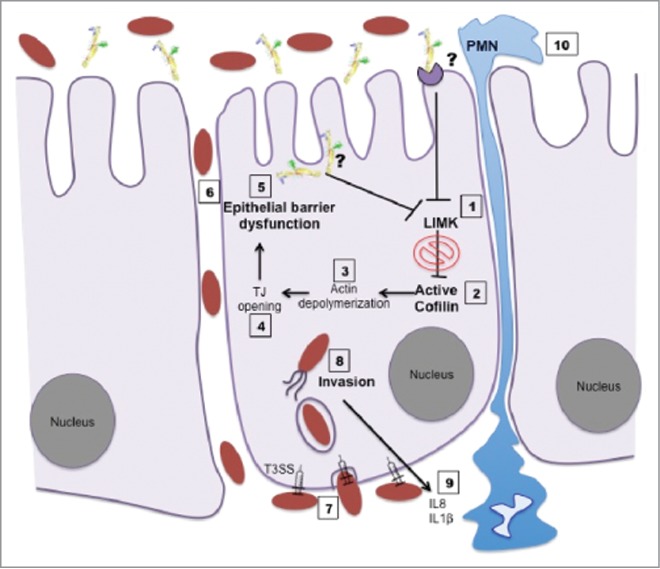 Figure 7.