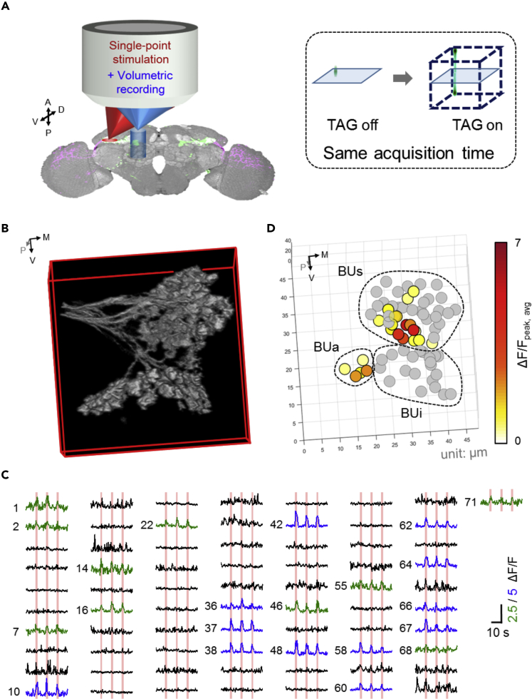 Figure 2