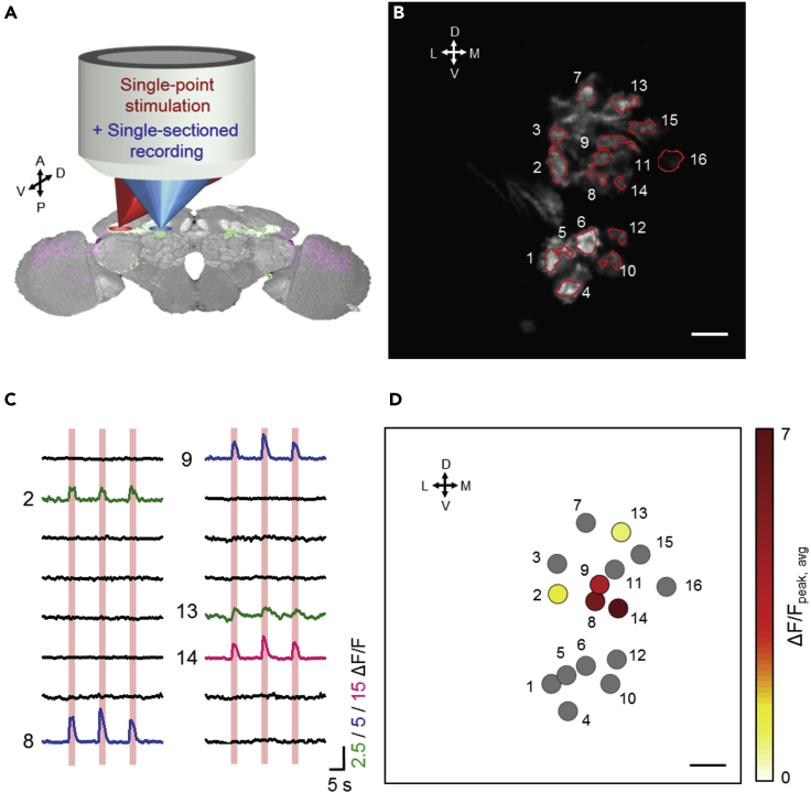 Figure 1