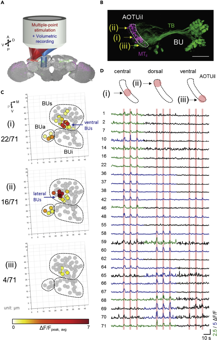 Figure 3