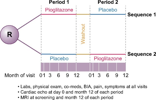 FIGURE 1: