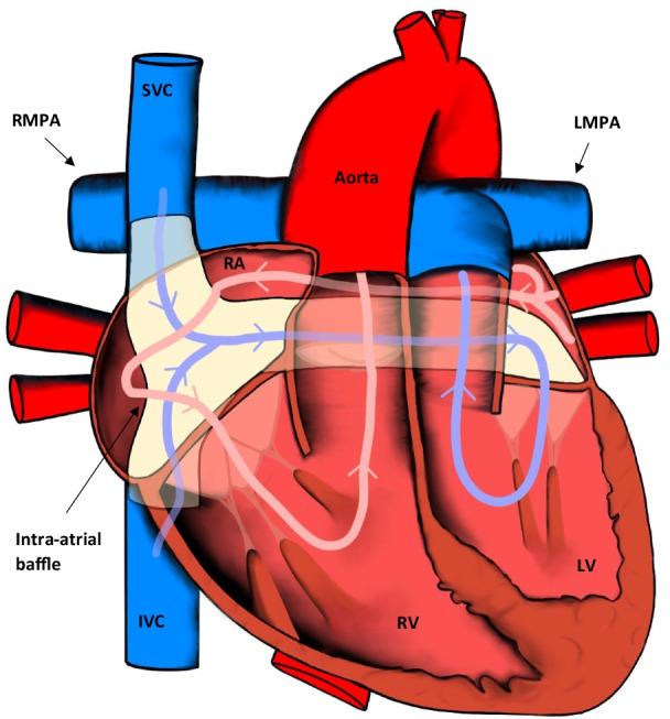 Fig. 2