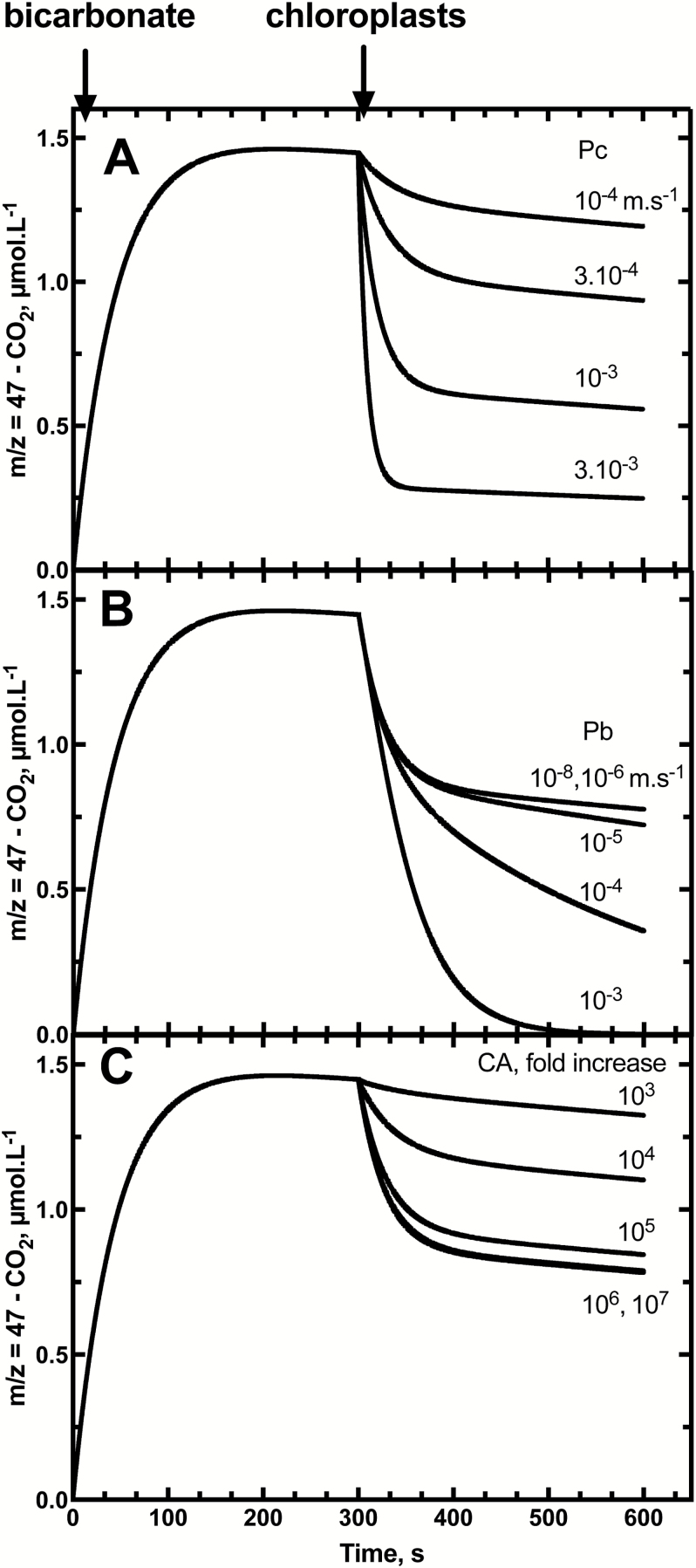 Fig. 5.