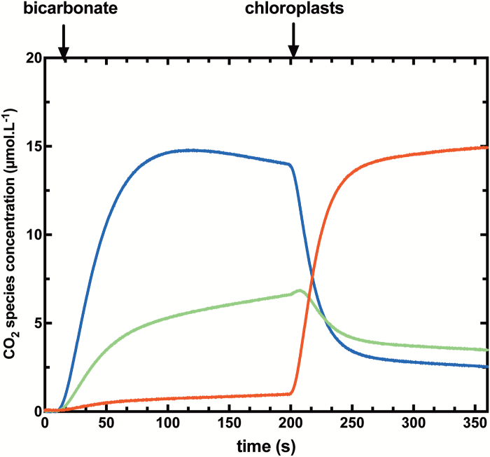 Fig. 3.