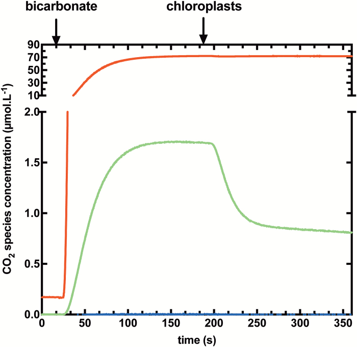 Fig. 2.