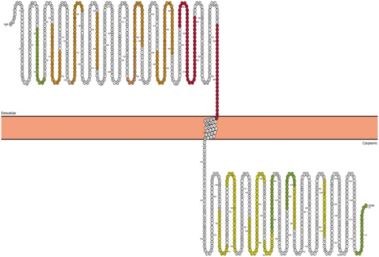 Figure 8