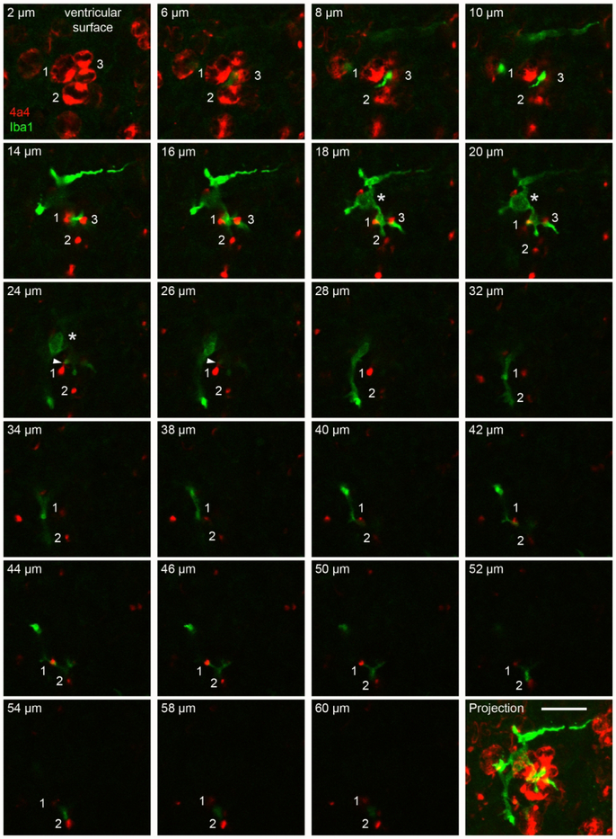 Figure 3.