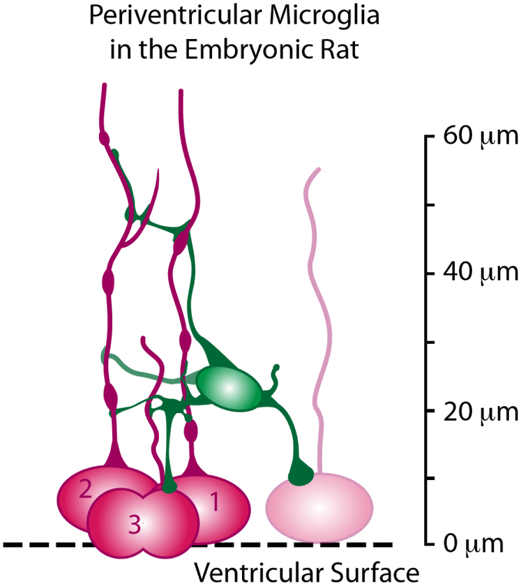 Figure 7.