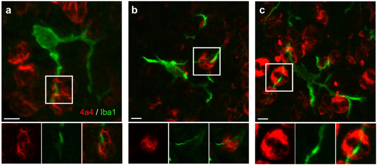 Figure 4.