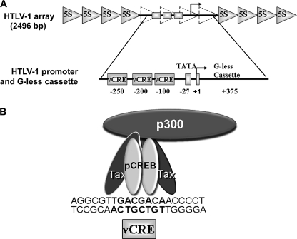 FIGURE 1.