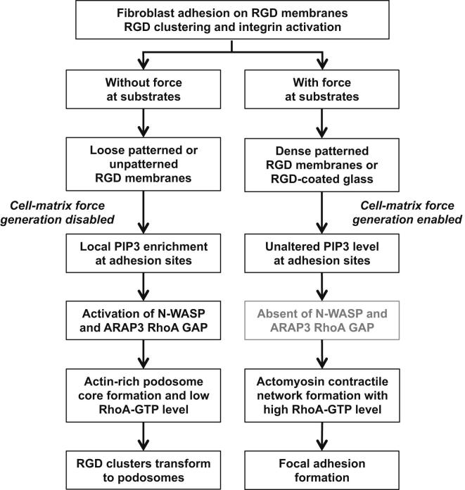 Figure 6