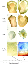 F<sc>ig</sc>. 6.