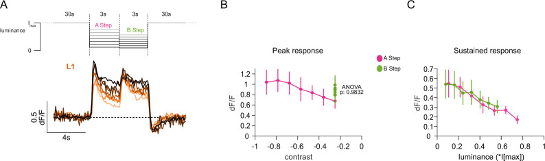 Figure 2—figure supplement 1.